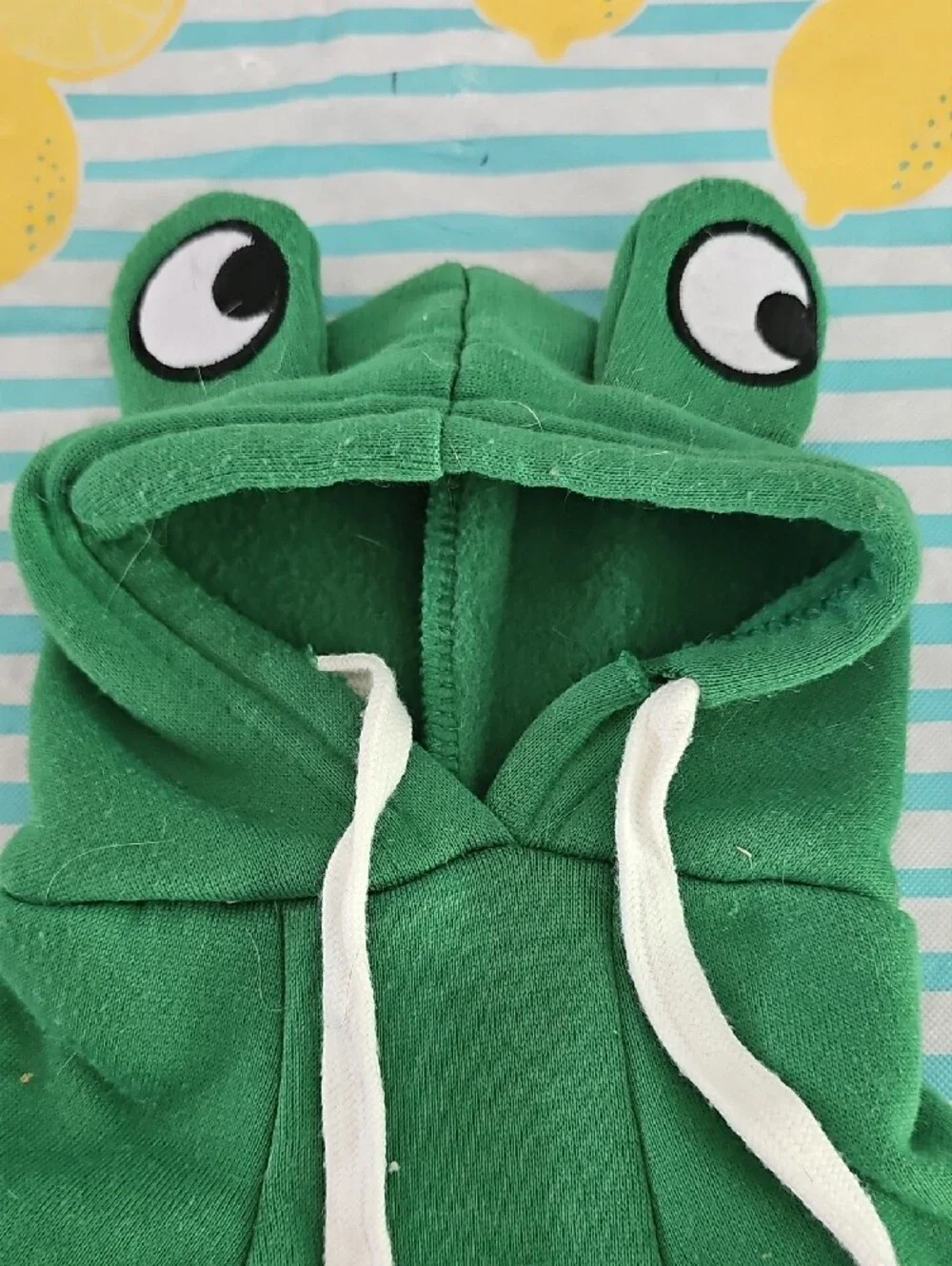 Pet Sweater